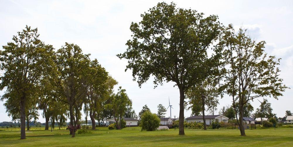 Topparken - Park Westerkogge Berkhout Exterior photo